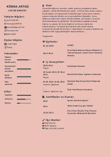 Çocuk Bakıcısı CV Örnekleri cv indir